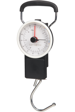 PÈSE BAGAGE TRAVEL ACCESSORIES SAMSONITE