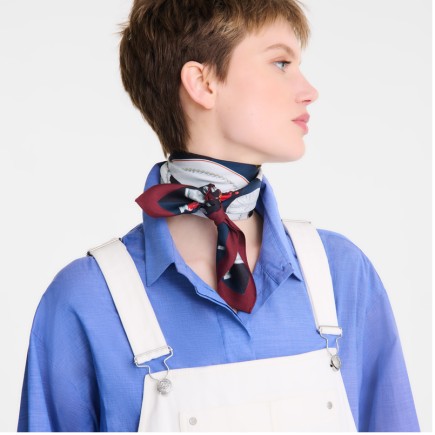 LONGCHAMP CARRÉ DE SOIE 70CM PALETTE D'ARTISTE GRENADE