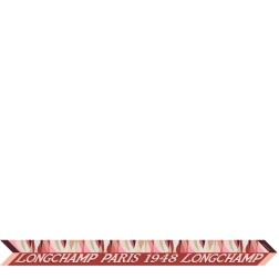 LONGCHAMP BANDEAU EN PLEINE VAGUE COGNAC