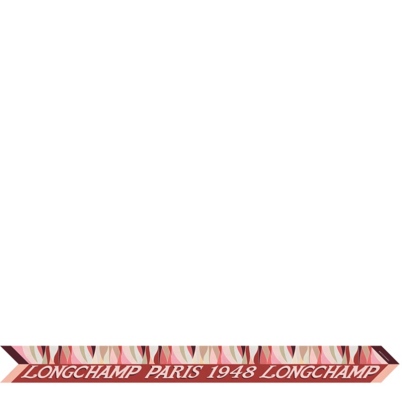 LONGCHAMP BANDEAU EN PLEINE VAGUE COGNAC