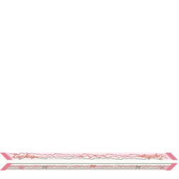 BANDEAU RUBANS LONGCHAMP CREVETTE