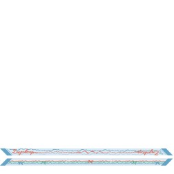 BANDEAU RUBANS LONGCHAMP LAGON