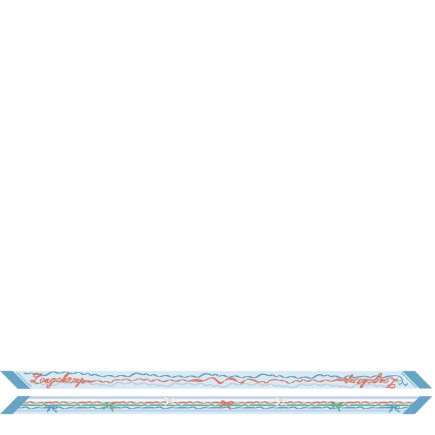 BANDEAU RUBANS LONGCHAMP LAGON