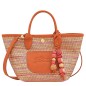 LONGCHAMP LE PANIER PLIAGE RAINBOW XS