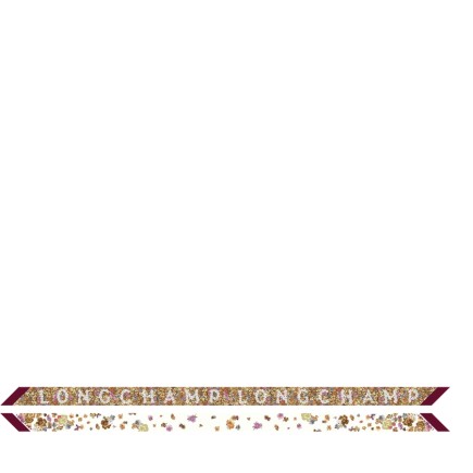 LONGCHAMP BANDEAU FRISE FLEURIE BORDEAUX